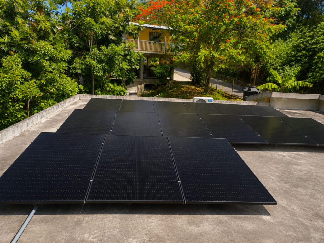 Paneles solares negros en techo con vegetación tropical de fondo